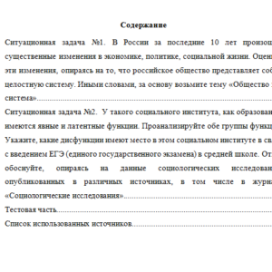 Социология. Вариант 2. НГУЭУ