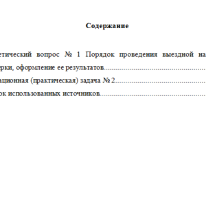 Налоговое право. Вариант 6. НГУЭУ