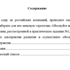 Экономическая стратегия. Вариант 8. НГУЭУ