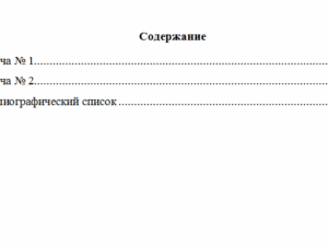 Административное право. Вариант 6. НГУЭУ