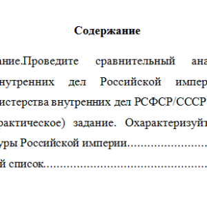 История правоохранительных органов. Вариант 3. НГУЭУ
