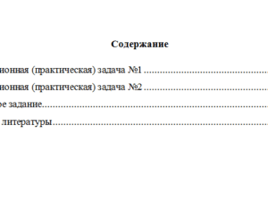 Основы экономической теории. Вариант 2. НГУЭУ