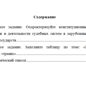Конституционное право зарубежных стран. Вариант 2. НГУЭУ