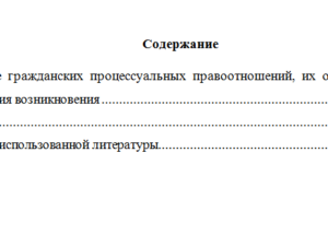 Гражданский процесс. Вариант 3. НГУЭУ
