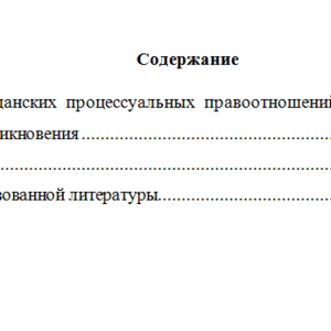 Гражданский процесс. Вариант 3. НГУЭУ
