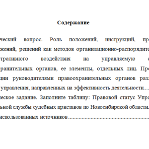 Основы управления в правоохранительных органах. Вариант 3. НГУЭУ