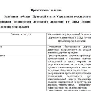 Основы управления в правоохранительных органах. Практическое задание