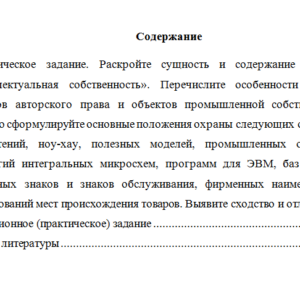 Инновационный менеджмент. Вариант 4. НГУЭУ.