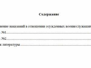 Уголовно-исполнительное право. Вариант 8. НГУЭУ