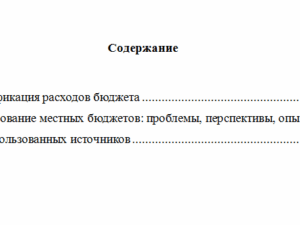 Управление бюджетной системой. Вариант 4. НГУЭУ.