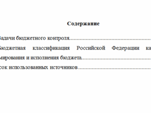 Управление бюджетной системой. Вариант 10 . НГУЭУ.