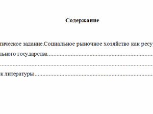 Основы социального государства. Вариант 4. НГУЭУ