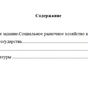 Основы социального государства. Вариант 4. НГУЭУ
