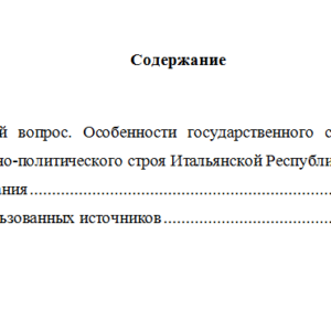 Зарубежный опыт государственного и муниципального управления. Вариант 4. НГУЭУ