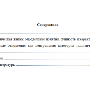 Политическая жизнь и властные отношения. Реферат по политологии.