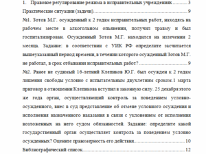 Уголовно-исполнительное право. Вариант 5. НГУЭУ
