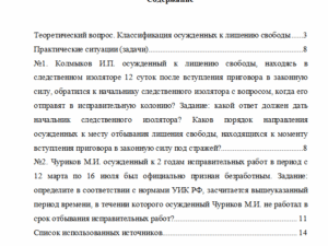 Уголовно-исполнительное право. Вариант 6. НГУЭУ.