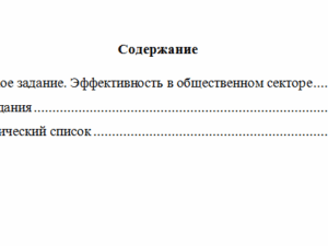 Экономика государственного и муниципального сектора. Вариант 10. НГУЭУ