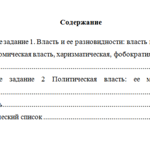 Политология. Вариант 2. НГУЭУ