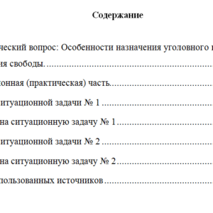 Уголовное право. Вариант 6. НГУЭУ