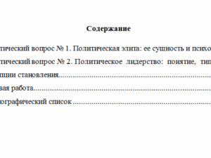 Политология. Вариант 10. НГУЭУ.