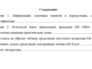 Информатика. Вариант 1. НГУЭУ