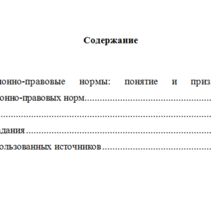 Конституционное право России. Вариант 2. НГУЭУ