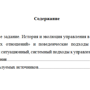 Управление организацией. Вариант 4. НГУЭУ.