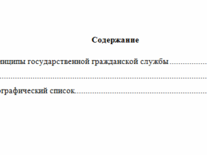 Правовое обеспечение государственной службы. Вариант 2. НГУЭУ.