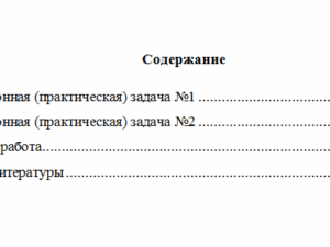 Экономическая теория. Вариант 4. НГУЭУ.