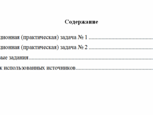 Муниципальное право. Вариант 5. НГУЭУ.