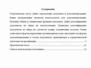 Основы делопроизводства. Вариант 3. НГУЭУ.