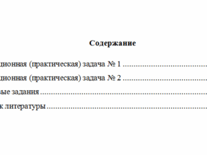 Мировая экономика. Вариант 6. НГУЭУ.