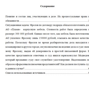 Гражданский процесс. Вариант 6. НГУЭУ.