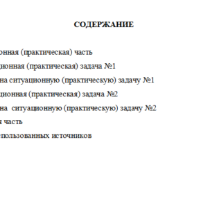 Моделирование среды предпринимательства. Вариант 2. НГУЭУ.
