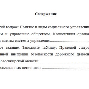 Основы управления в правоохранительных органах. Вариант 1. НГУЭУ.