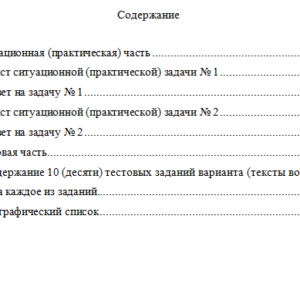 Бухгалтерский финансовый учет. Вариант 4. НГУЭУ.