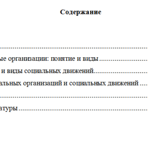 Социальные организации и движения. Реферат.