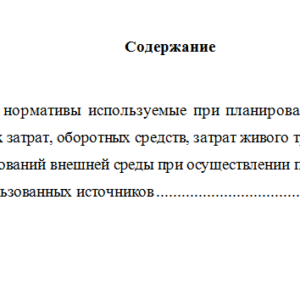 Планирование и прогнозирование. Вариант 3. НГУЭУ.