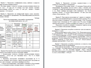 Экономика организаций. ТК 4. СибУПК