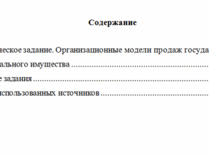 Управление продажами государственного и муниципального имущества. Вариант 4. НГУЭУ.