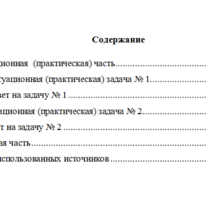 Экономика организации. Вариант 8. НГУЭУ.