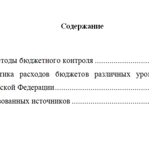 Управление бюджетной системой. Вариант 7. НГУЭУ.