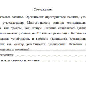 Управление жизненным циклом предприятия. Вариант 1. НГУЭУ.