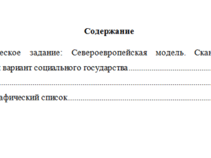 Основы социального государства. Вариант 8. НГУЭУ.
