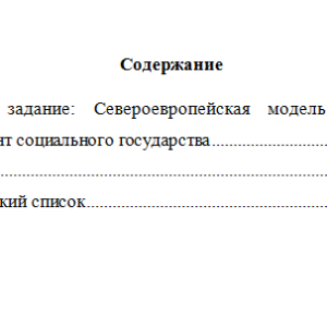 Основы социального государства. Вариант 8. НГУЭУ.