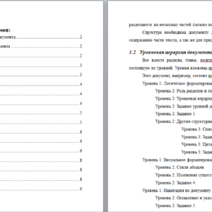 Информатика. Офисные пакеты. Работа 1. Структура документа. НГПУ.