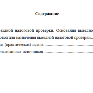 Правовое обеспечение налоговых проверок. Вариант 5. НГУЭУ.