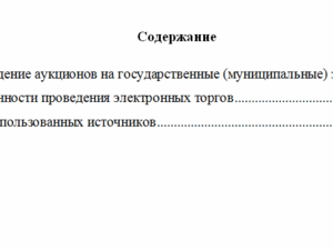 Государственные и муниципальные закупки. Вариант 9. НГУЭУ.