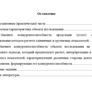 Основы теории конкурентоспособности. Вариант 10. НГУЭУ.
